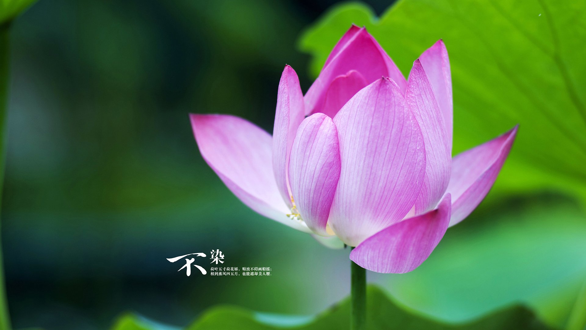 战术分析：每场比赛的关键战术布局揭秘，球赛战术分析