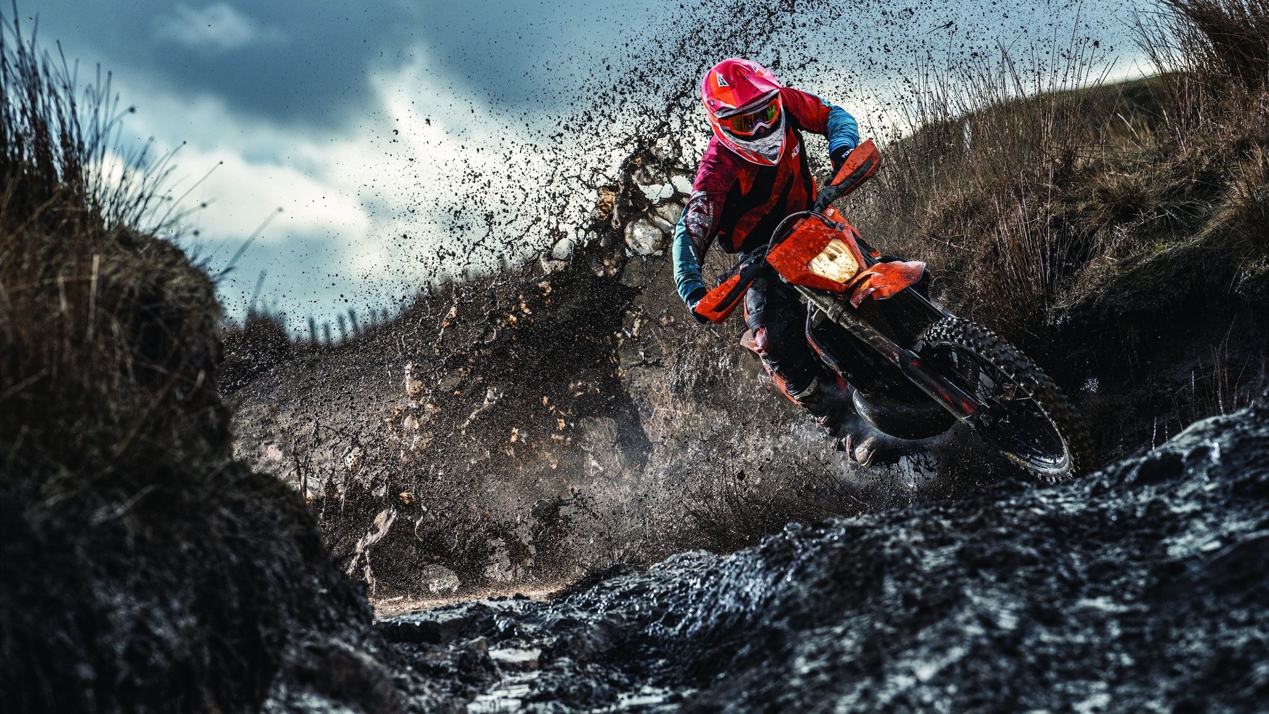 “马丁·高尔西引领美洲狮队防守革命，全面崛起”